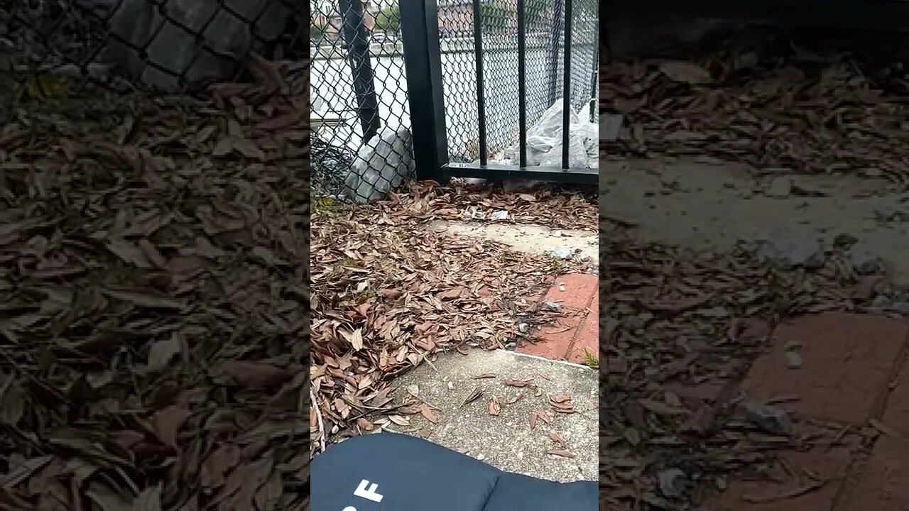 Y'all probably can't hear the #noisecampaign