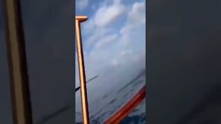 25 de março de 2022