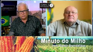 Milho mantendo fôlego interno