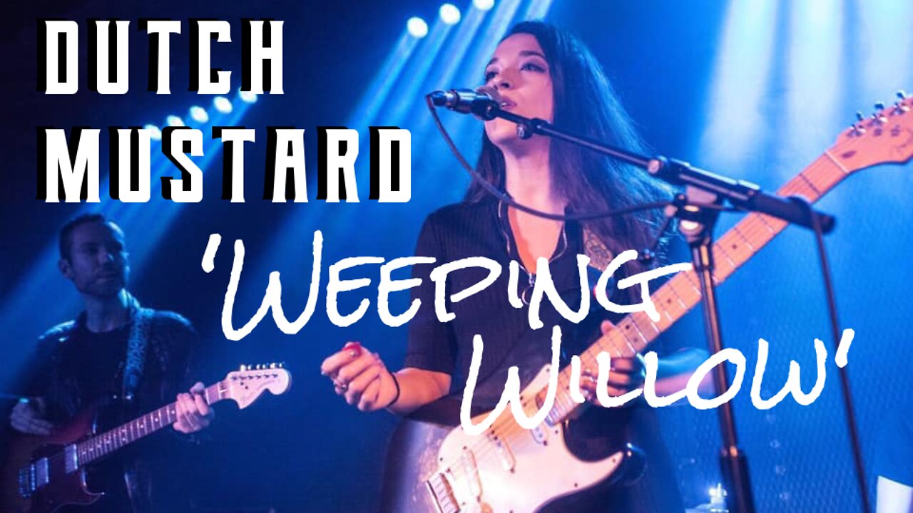 Dutch Mustard - 'Weeping Willow' (Live at Camden Assembly)