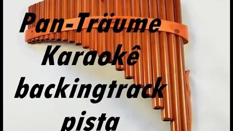 🎼 Pan-Träume _ Karaokê - Backingtrack - Pista .