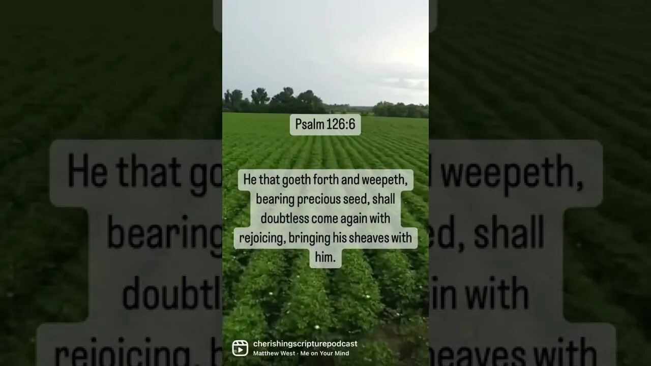 Psalm 126:6 #shorts #psalms #faith #field #farming