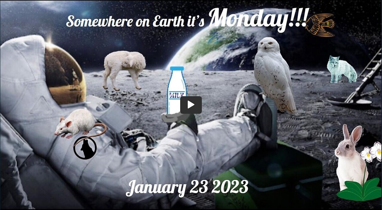 The You Don't Say Gang ~~~ January 23 2023