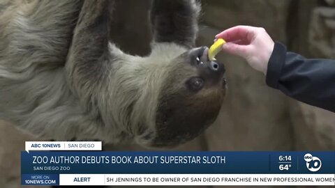 Superstar sloth subject of new book at San Diego Zoo