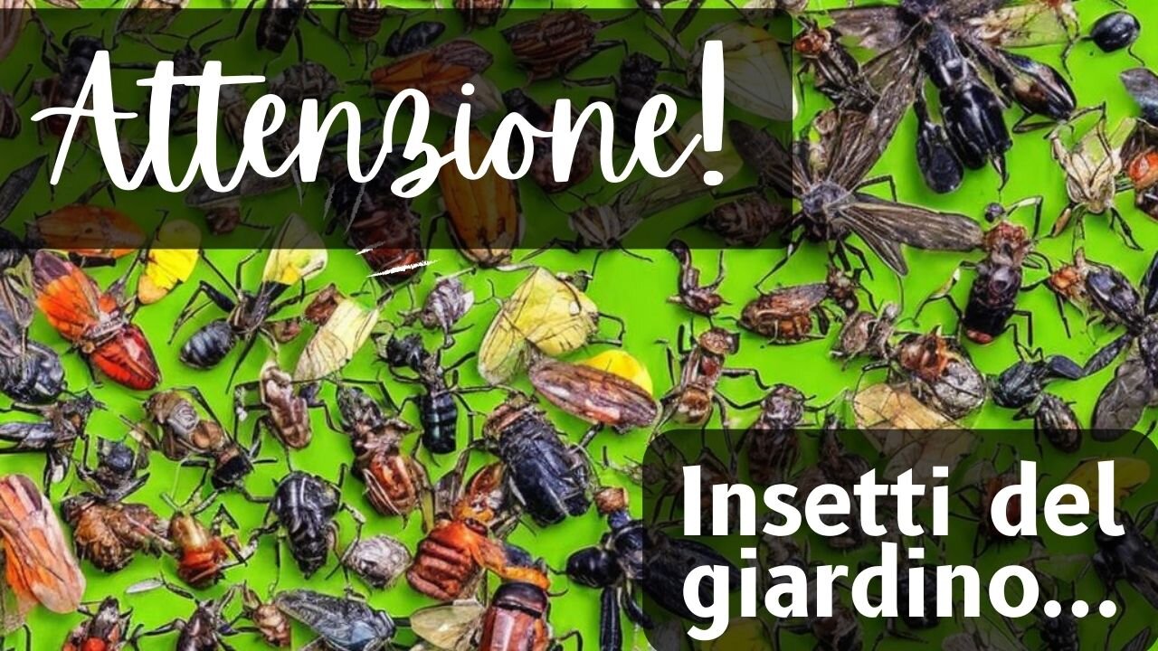 🐛 Insetti del giardino a cui devi prestare attenzione