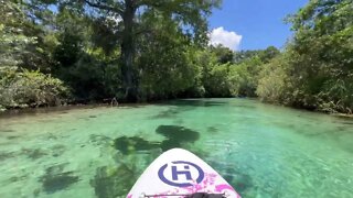 Weeki Wachee Paddle Boarding