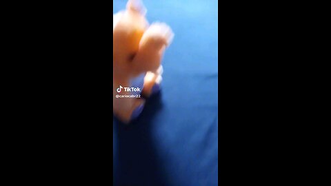 Dog Dance Music