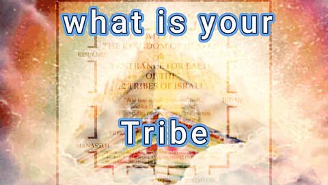 in covenant, what tribe are you grafted into?