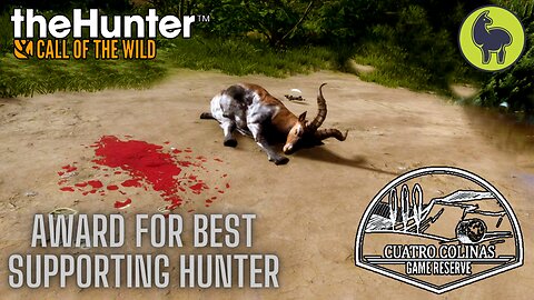 Award for Best Supporting Hunter, Cuatro Colinas | theHunter: Call of the Wild (PS5 4K)