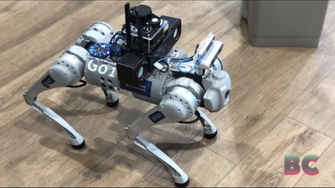 RoboGuide robot dog uses AI to assist the visually impaired