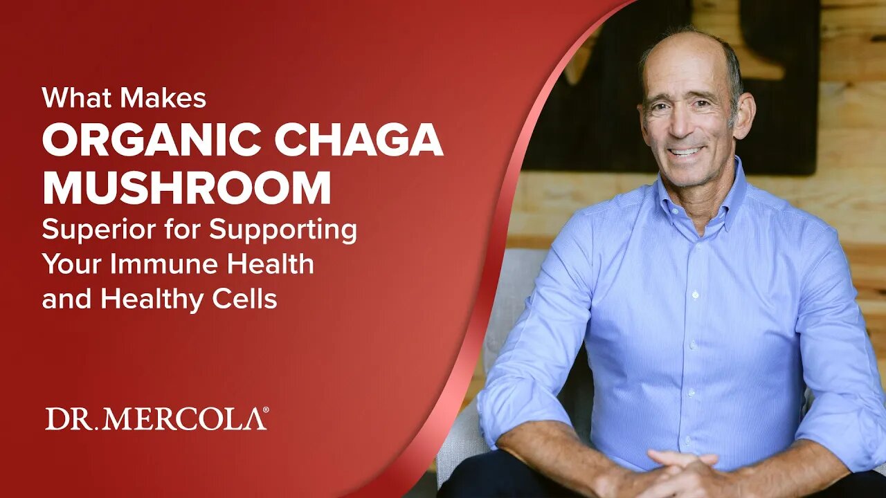 What Makes ORGANIC CHAGA MUSHROOM Superior for Supporting Your Immune Health and Healthy Cells