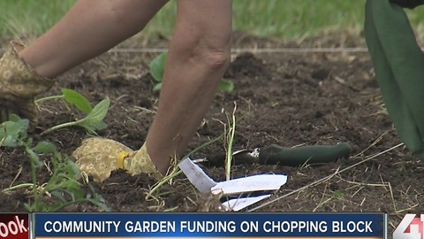 Kansas City Community Gardens faces funding cuts