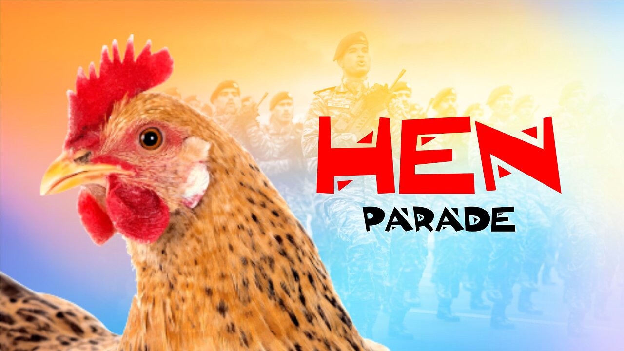 🐔🐔Hen parade🐓🐓