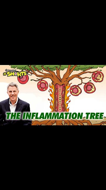 #SHORTS The Inflammation Tree