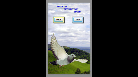 RACING PIGEONS SPEED VELOCITY APP