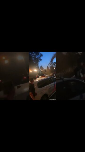 Netherlands: Farmer protests harden in the Netherlands