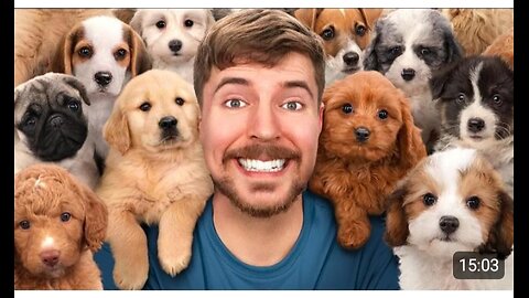 I Rescued 100 Abondend dogs!