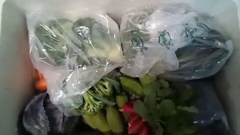 Biodynamic Produce, this week 12th August 2020