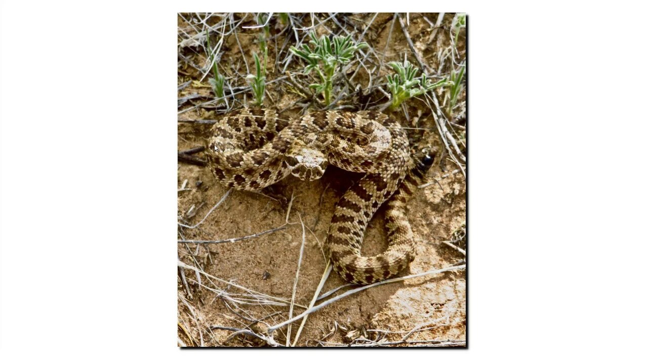 Climate Science Breaking Bad