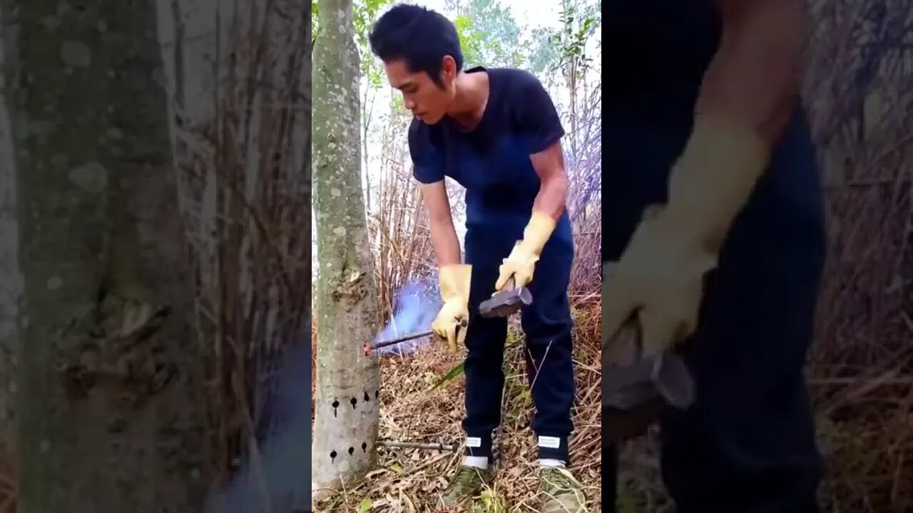 #shorts #2022 funny,prank,funjokes,dad jokes,funny memes,funny video,fun,laughing,funny animal,knock