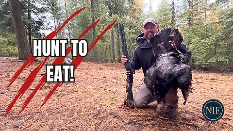 Wild Turkey Hunt to Thanksgiving Feast: A North Idaho Tradition
