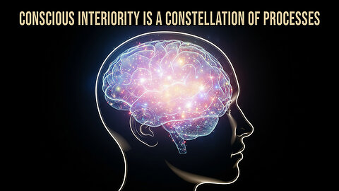 Conscious Interiority Is a Constellation of Processes | ⁠⁠⁠⁠⁠⁠Consciousness & the Bicameral Mind