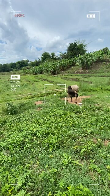 ธรรมชาติเป็นสิ่งที่น่าอัศจรรย์