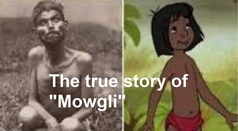 The true story of "Mowgli"