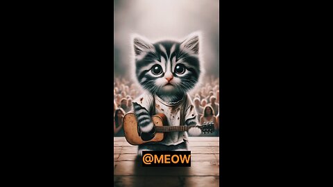 "Charming Kitty: Meet Our Cute Cat!" - #CharmingKitty - #CuteCat - #AdorableFeline