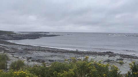 Newport Rhode Island Shoreline Fall 2023
