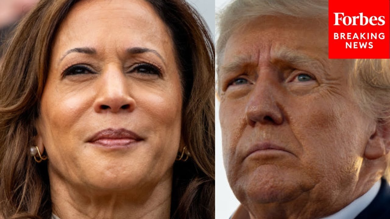 Harris Is Polling Better Than Trump Among Independent Voters, How Could That Affect The Election?