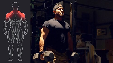 Dumbbell Shoulder Swings