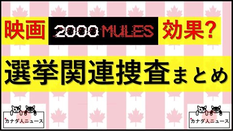 5.16 映画”2000Mules”効果?!