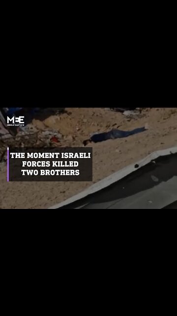 The moment Israeli forces killed two brothers in Gaza