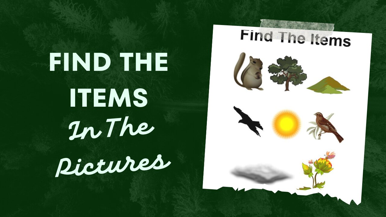 Picture Puzzle Adventure A Fun Hidden Picture Game! Can You Find It?