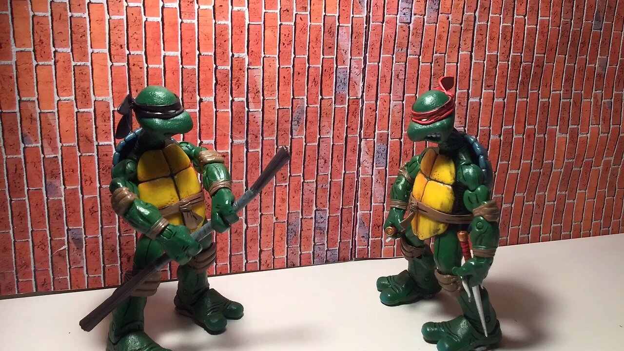 Tmnt Training (Stop motion)