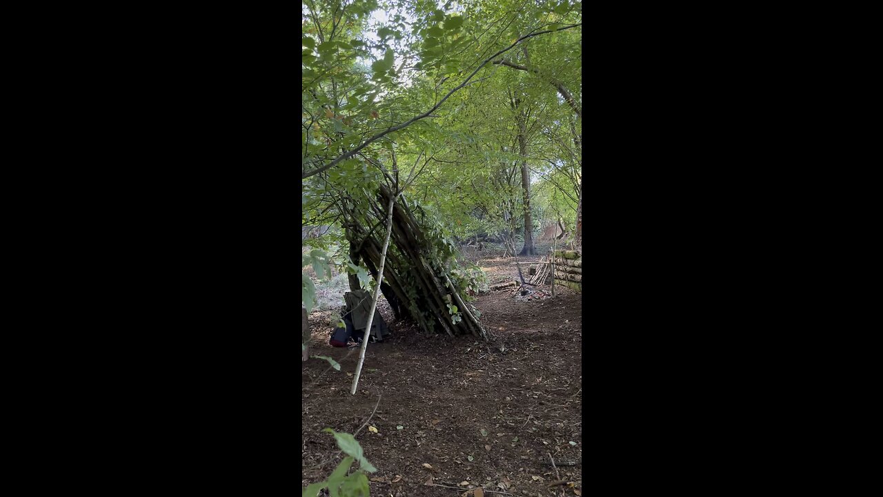 Some quick bushcraft