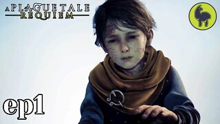 A Plague Tale: Requiem ep1 Under A New Sun (PS5 HDR 60FPS)