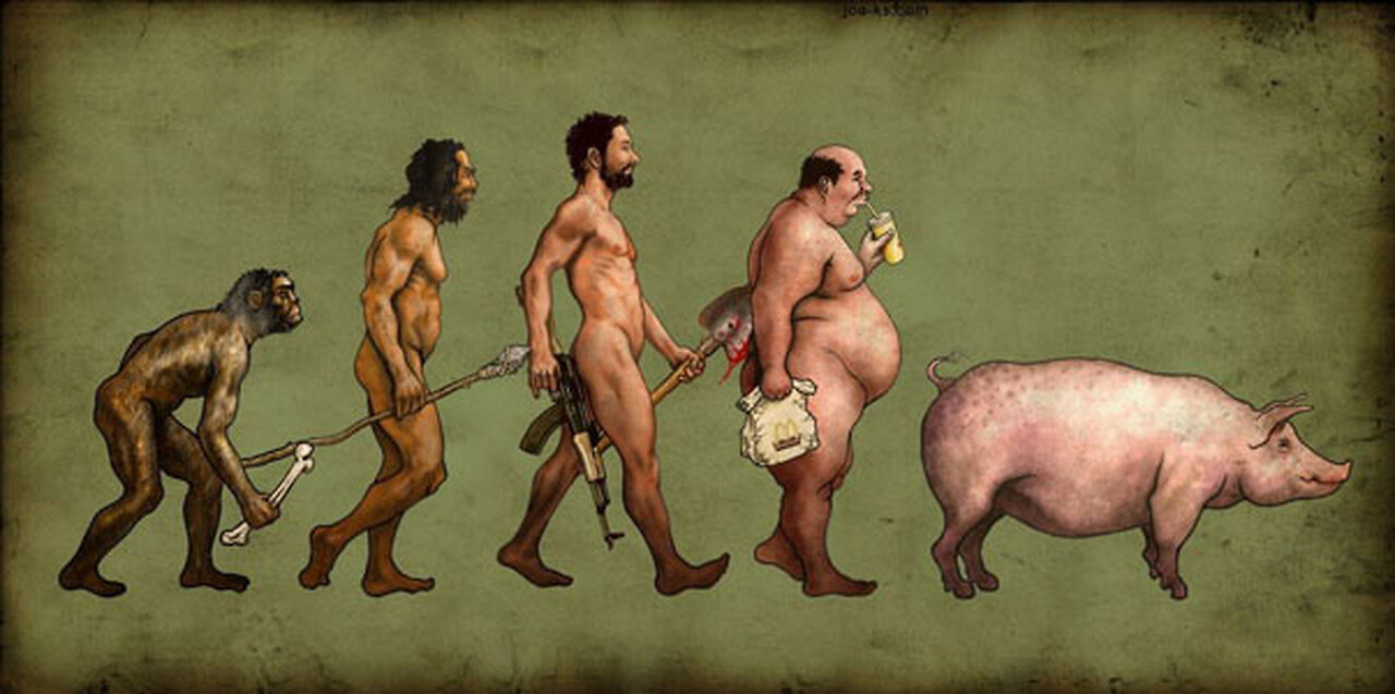 Five Problems with Evolution (Time for Truth!)