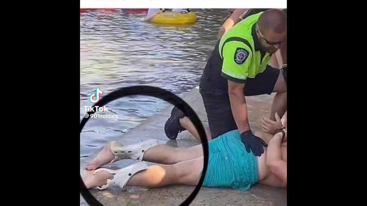 The most requested Alabama brawl roast