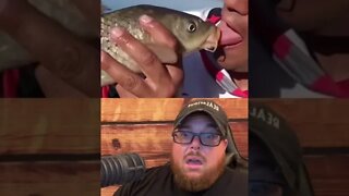 Here’s Your Dose Of REALarious…🤣🤣🤣