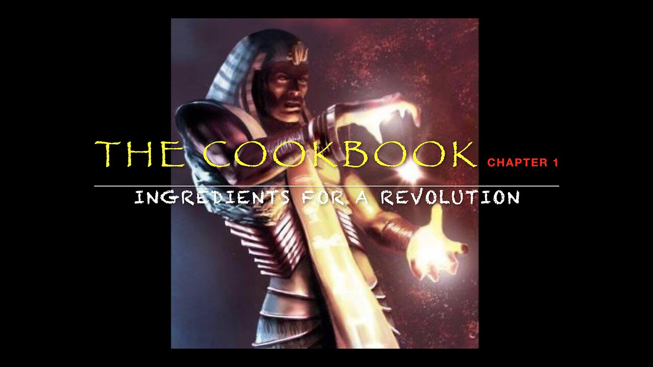 The COOKBOOK ~ Chapter 1-"Ingredients for a Revolution"