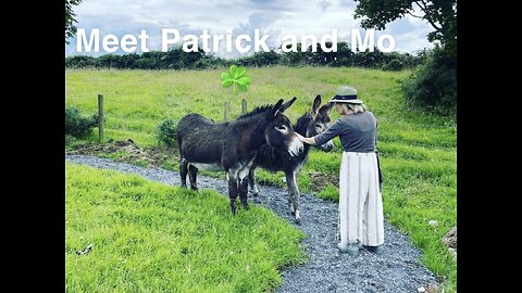 Meeting Patrick and Mo☘️