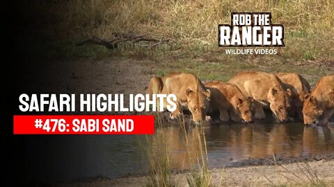 Safari Highlights #476: 16 - 20 July 2017 | Sabi Sand Nature Reserve | Latest Wildlife Sightings