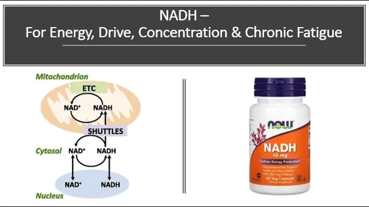 NADH - Energy, Drive, Concentration & Chronic Fatigue Syndrome