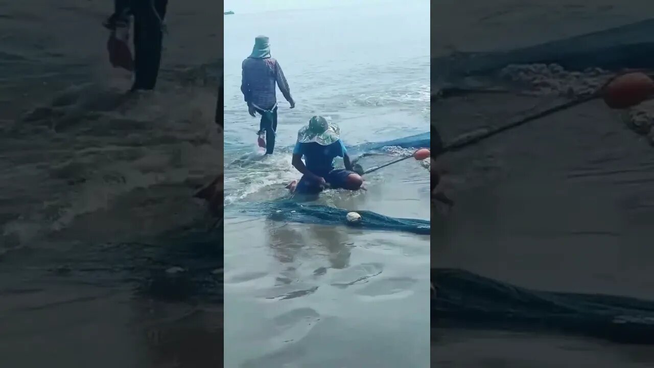 Jaring Pukat Pantai#nelayan #fishermen #fishing #traditionalfishermen #fish #fishingnets