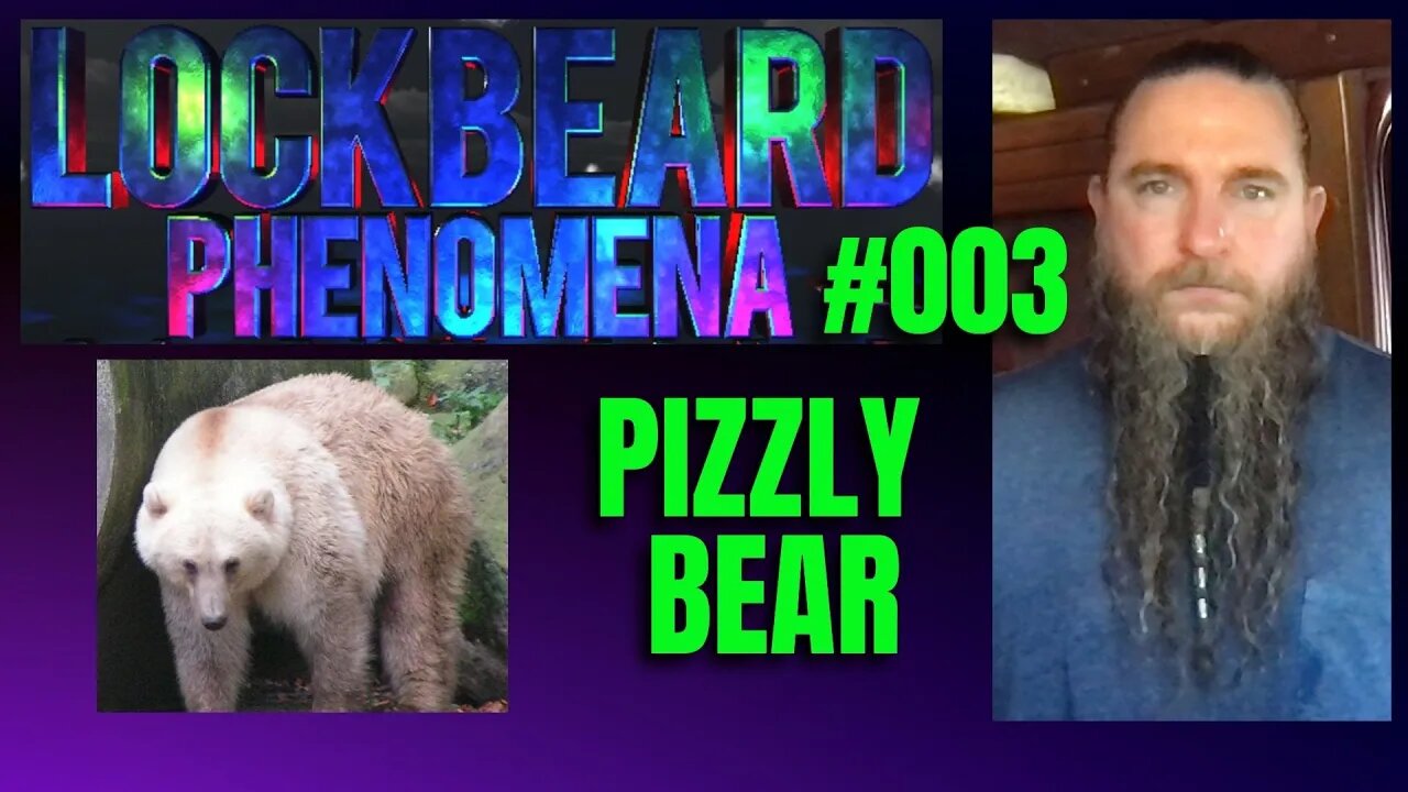 LOCKBEARD PHENOMENA #003. Pizzly Bear