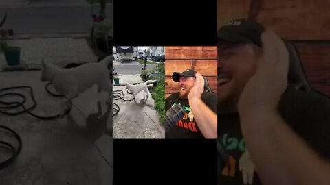 Here’s Your Dose Of REALarious…🤣🤣🤣