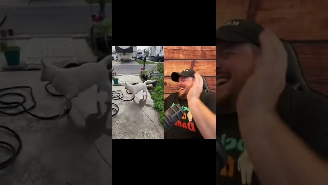 Here’s Your Dose Of REALarious…🤣🤣🤣