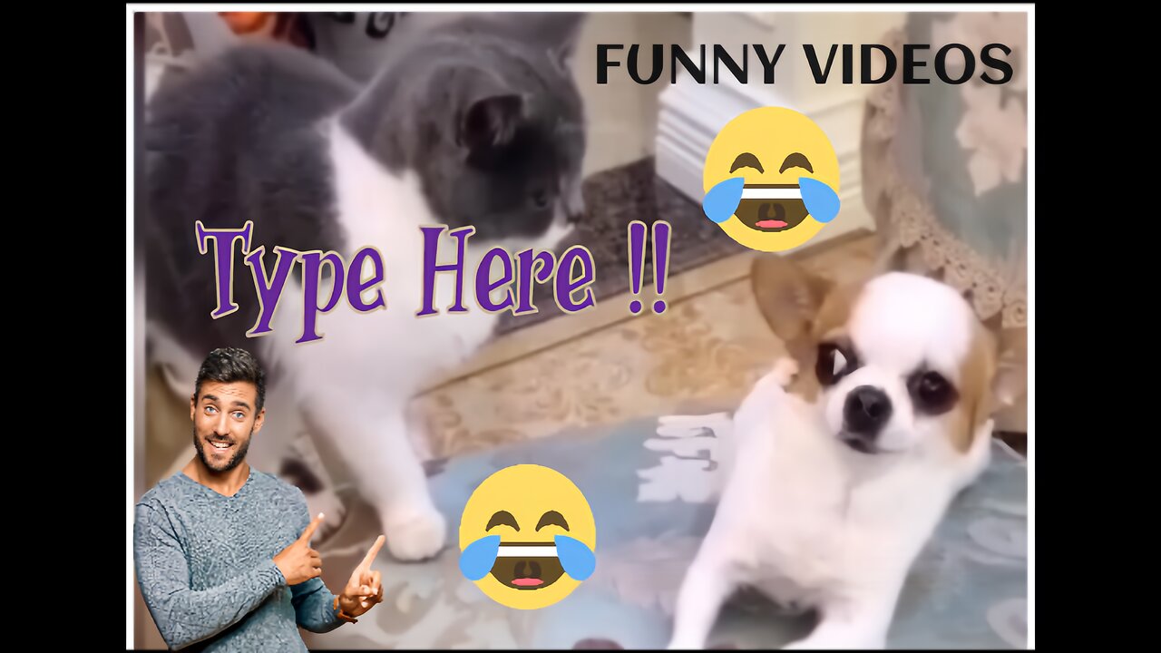 Funny Dogs and cats Videos || Dogs Videos || Cats Videos